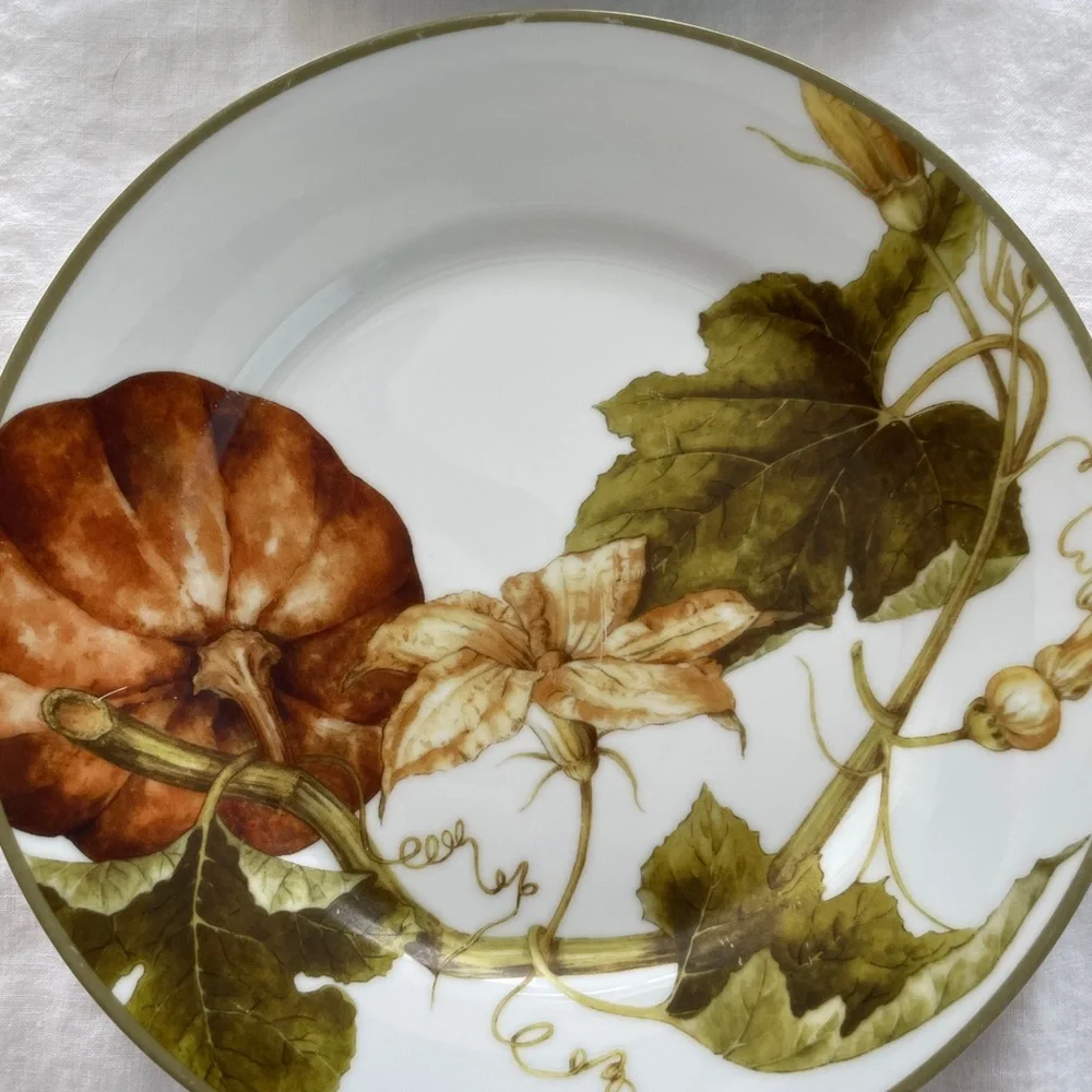 Williams Sonoma Botanical Pumpkin Salad Dessert Plates 8.5” diameter (Set of 4)